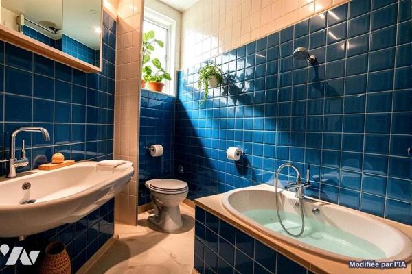 APPARTEMENT A VENDRE PARIS 15EME