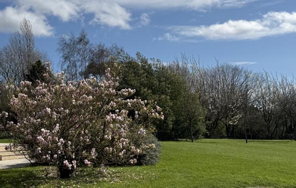 Maison 8 pièces - 166 m² Bien prestige