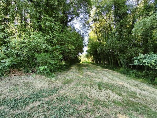 MORBIHAN, Le Croisty, manoir d'origine du XVIe siècle, partiellement rénové, sur un terrain de plus de 3 acres