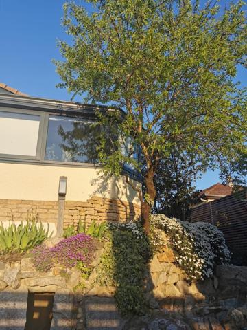 Maison 5 pièces - 145 m²