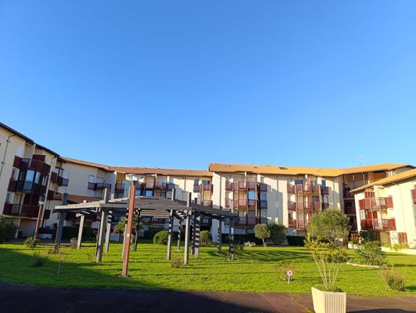 Appartement 2 pièces + cabine et terrasse