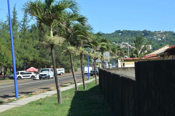 Dpt Martinique (972), à vendre maison 4 p, 62,4 m² - Terrain de 347,00 m² - Plain pied