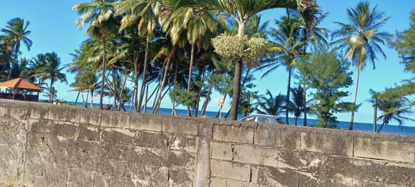 Dpt Martinique (972), à vendre maison 4 p, 62,4 m² - Terrain de 347,00 m² - Plain pied