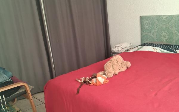 Appartement à louer    2 pièces •  Rochefort