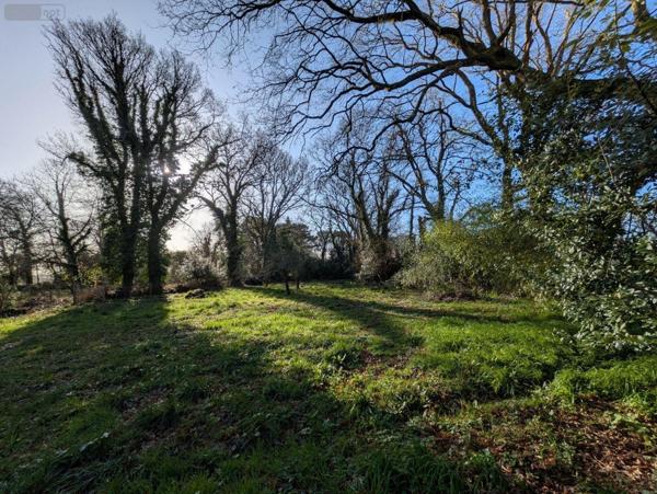 Terrain à Batir à vendre à Riec sur Bélon dans le Finistère (29340), ref : 29114-117   
Coat Pin