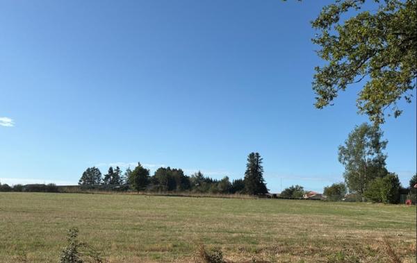 Vente Terrain Flavignac   