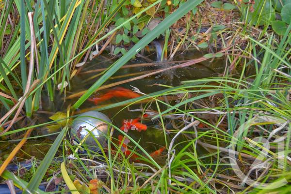 Maison à vendre  4 pièces - 90 m2 ROMANS SUR ISERE - 26