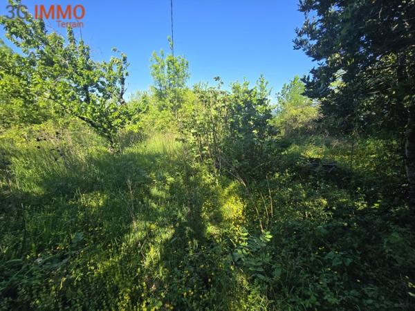 Vente / Terrain constructible