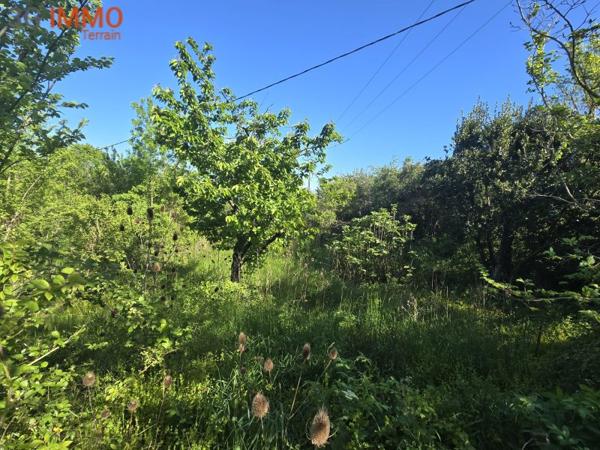 Vente / Terrain constructible