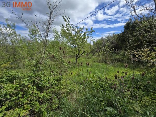 Vente / Terrain constructible