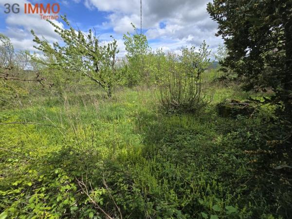 Vente / Terrain constructible