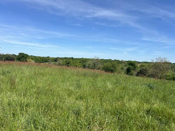Terrain à vendre 15 000 € Loubédat 607 m² DPE