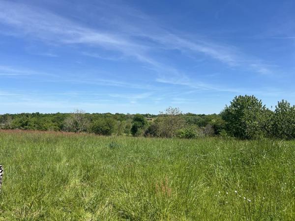 Terrain à vendre 15 000 € Loubédat 607 m² DPE