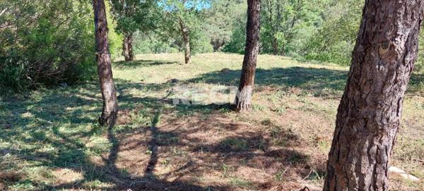 Les Issambres (83380) Terrain constructible 1550m² Les Issambres