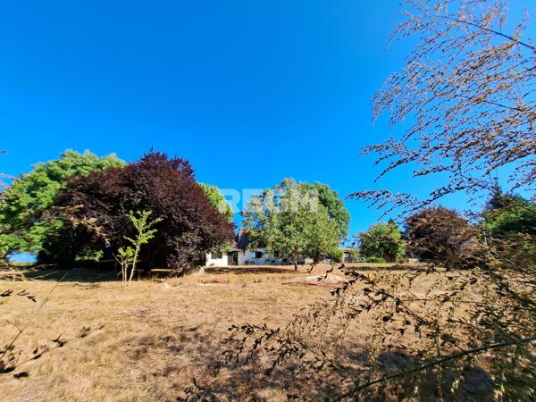 La Force (24130) Véritable Périgourdine de plain pied, 5 chambres, combles aménageables, dépendances.