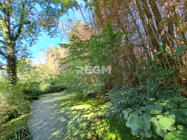 La Force (24130) Véritable Périgourdine de plain pied, 5 chambres, combles aménageables, dépendances.