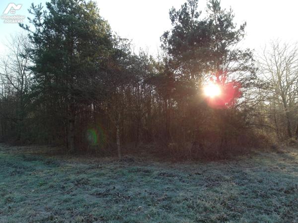 TERRAIN BOISE CONSTRUCTIBLE DE 10500 M²