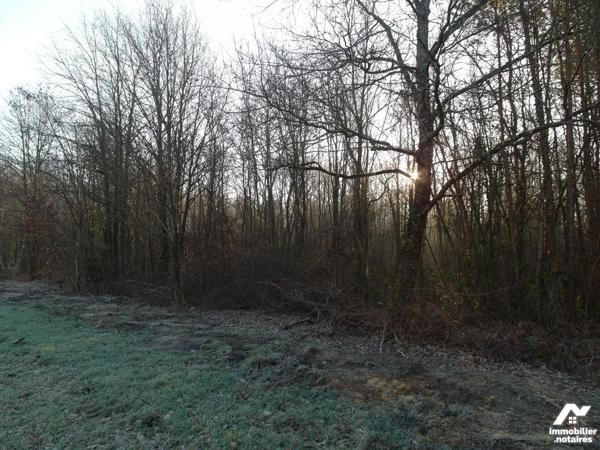 TERRAIN BOISE CONSTRUCTIBLE DE 10500 M²