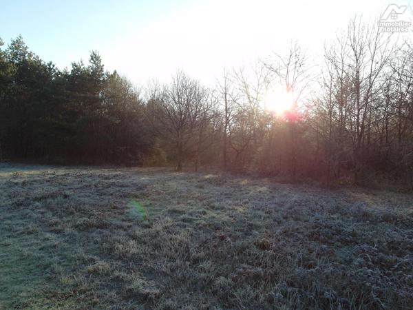 TERRAIN BOISE CONSTRUCTIBLE DE 10500 M²