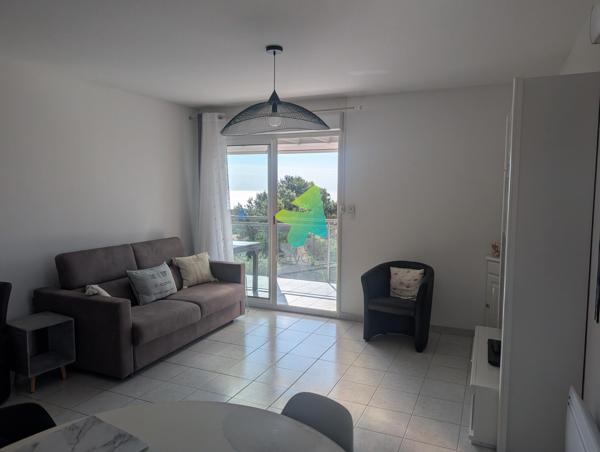 Superbe Appartement T3 Terrasse Vue Mer Panoramique
