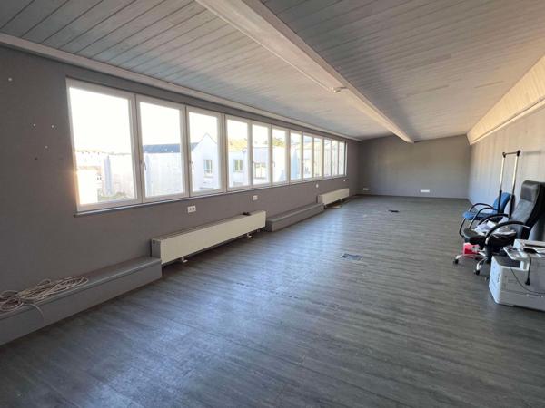 Local professionnel à vendre