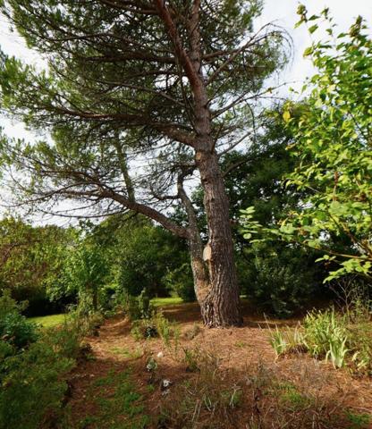 Maison136 m2 + 80 m2 dépendance à LUGON L'ILE ET DU CARNAY