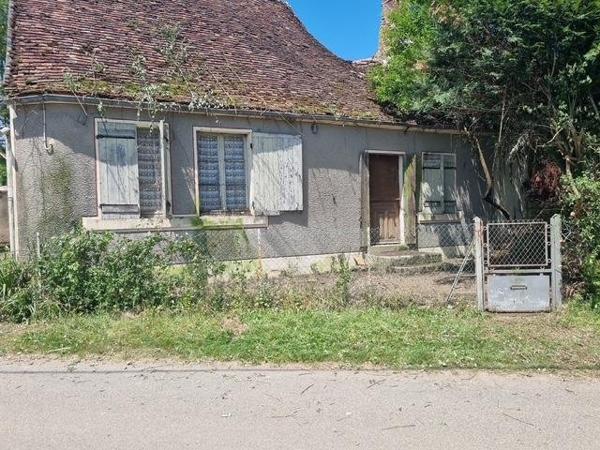 Vente / Maison à Châteauneuf-Val-de-Bargis (58350)