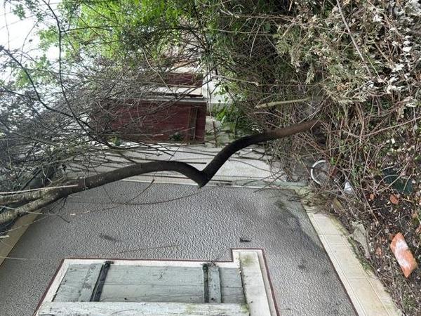 Vente / Maison à Châteauneuf-Val-de-Bargis (58350)