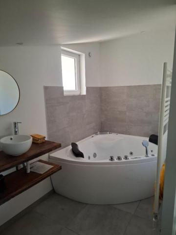 PAYS DE FORCALQUIER, BELLE PROPRIETE DE 140 M² AVEC GARAGE + GÎTE, CHAMBRE D'HÔTE ET PISCINE SUR PLUS D'UN HECTARE DE TERRAIN