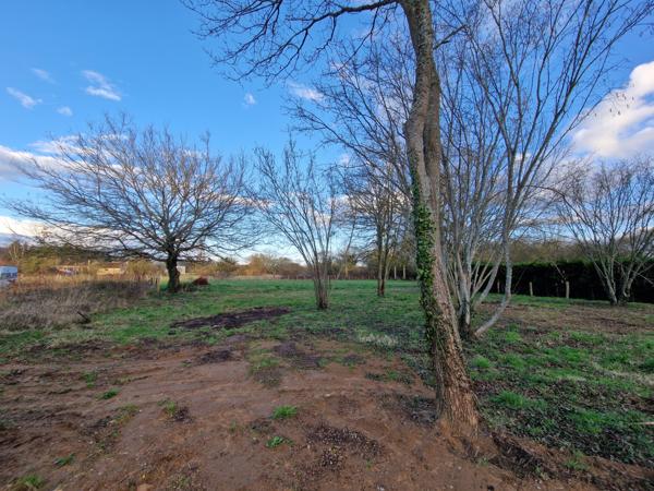 perle rare plain pied 4ch