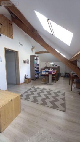 Maison à vendre à Vic-sur-Cère dans le Cantal (15800), ref : MG/2373