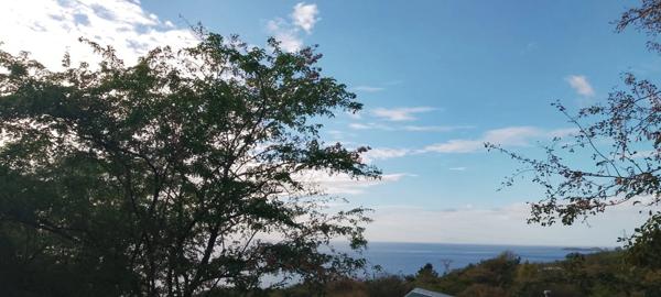 🌴 À VENDRE – Terrain de 1 600 m² avec vue mer à Bouillante