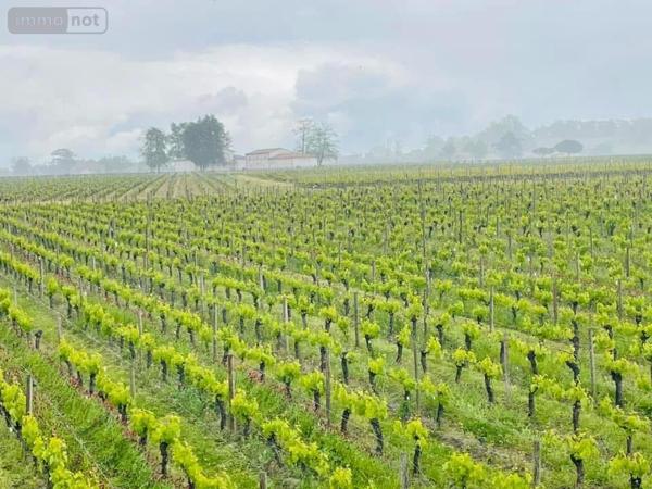 Maison à vendre à Saint-Émilion en Gironde (33330), ref : 118/1568