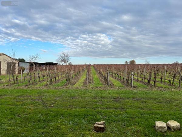 Maison à vendre à Saint-Émilion en Gironde (33330), ref : 118/1568