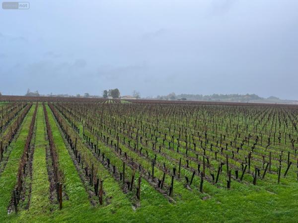 Maison à vendre à Saint-Émilion en Gironde (33330), ref : 118/1568