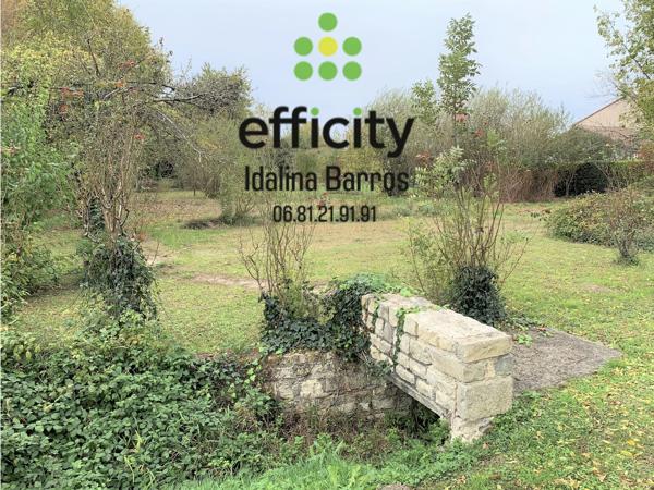 Terrain - 764 m²