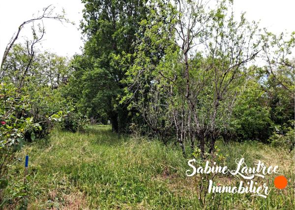 Terrain constructible arboré – Axe Castres et Albi