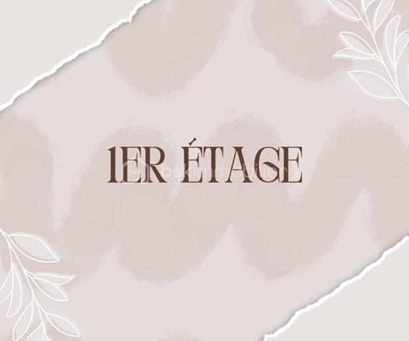 Maison de maitre de 316 m²