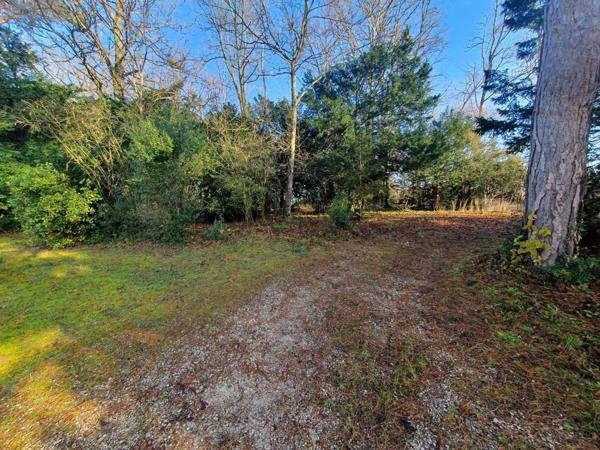 Maison de maître à vendre à Souppes-sur-Loing en Seine-et-Marne (77460), ref : 116