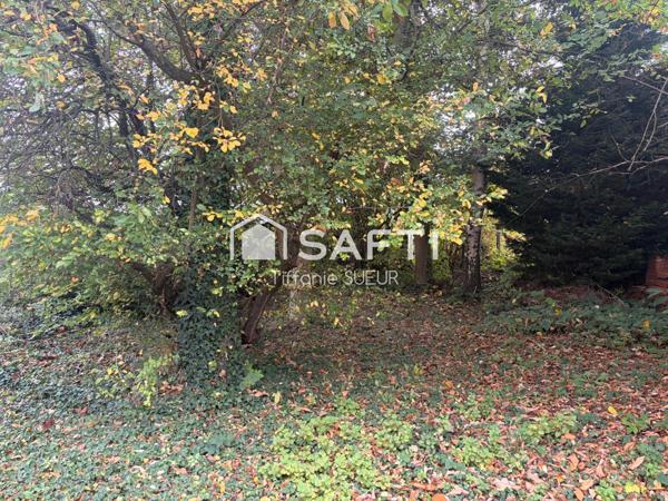 MAISON PLUS LOCAL COMMERCIAL