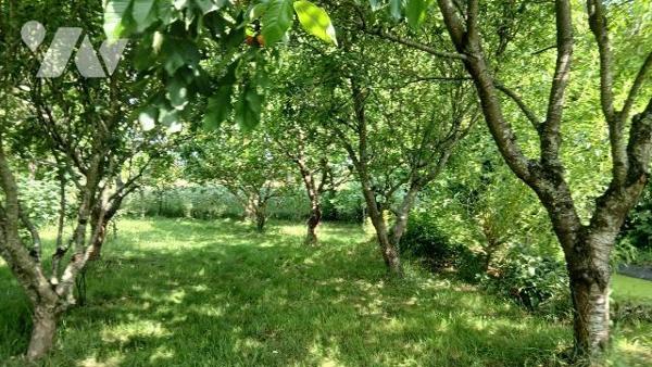 CARENTOIR, Maison d'habitation - Dans un cadre bucolique et paisible, venez découvrir cette aut...
