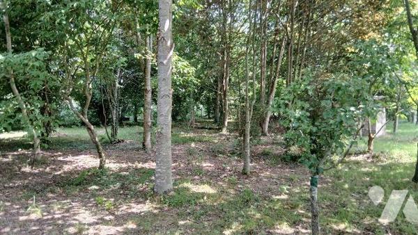 CARENTOIR, Maison d'habitation - Dans un cadre bucolique et paisible, venez découvrir cette aut...