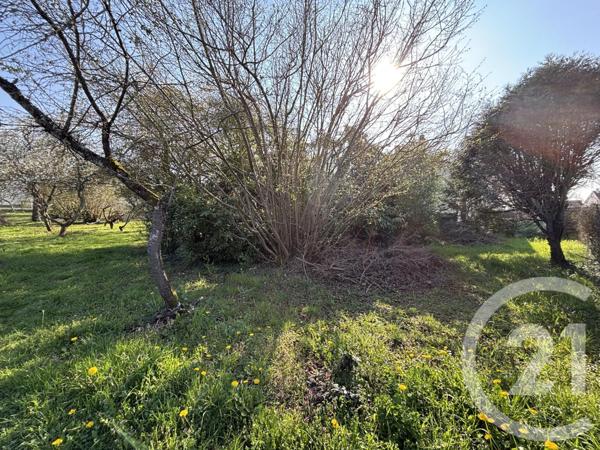 Terrain à vendre  787 m2 MENNECY - 91