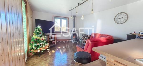 Maison T6 de 196 m² avec garages et jardin.