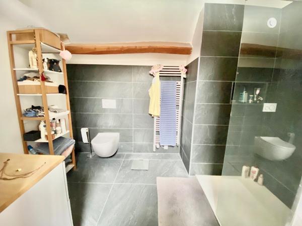 Longère de charme avec appartement et espace professionnel -