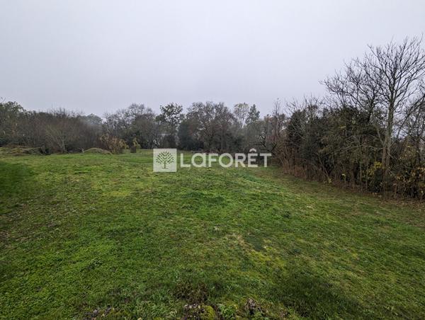 Achat maison Montaigu-de-Quercy - 3 pièce(s) - 77 m² - 70 850 €