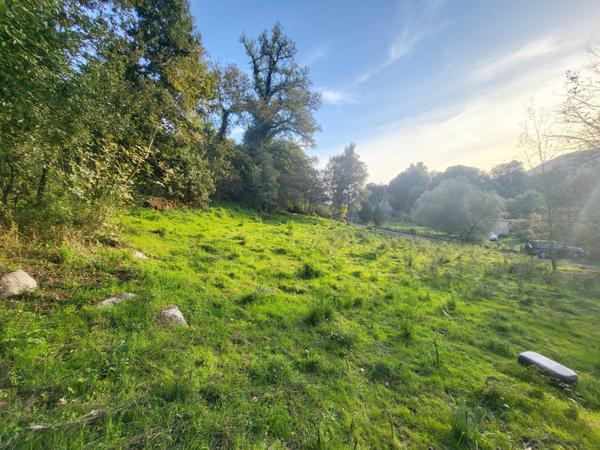 TERRAIN CONSTRUCTIBLE 1500m2 - FORCIOLO Forciolo (20190)