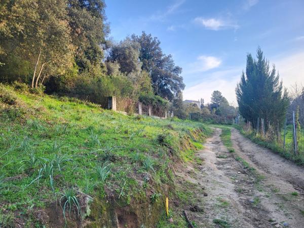 TERRAIN CONSTRUCTIBLE 1500m2 - FORCIOLO Forciolo (20190)