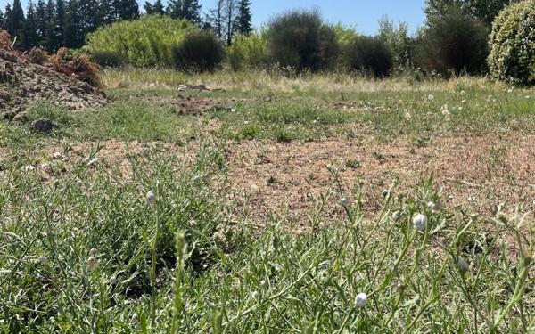 Terrain à vendre    Saint-Paul-Trois-Châteaux