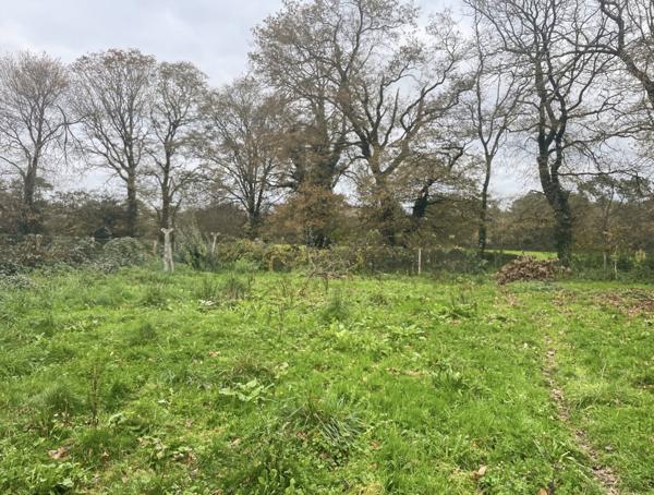 Elven (56250) Maison en pierre rénovée sur grand terrain.